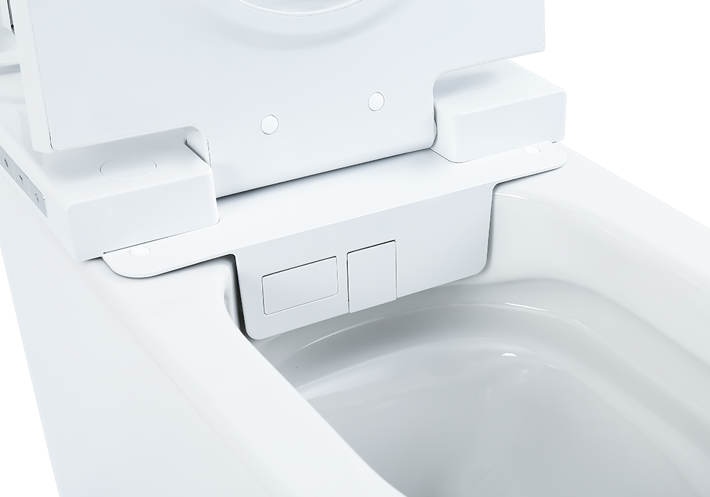 Умный комфорт: индивидуальный самоочищающийся электрический интеллектуальный туалет